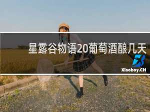 星露谷物语 葡萄酒酿几天