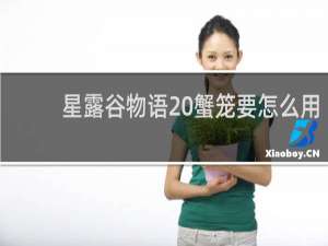 星露谷物语 蟹笼要怎么用