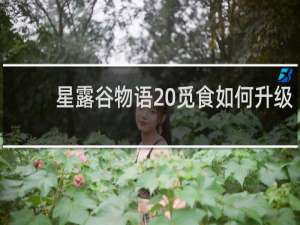 星露谷物语 觅食如何升级