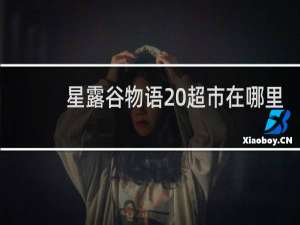 星露谷物语 超市在哪里