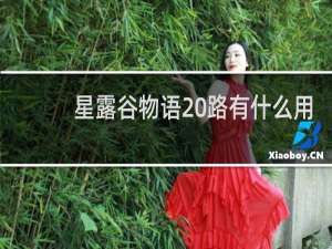 星露谷物语 路有什么用
