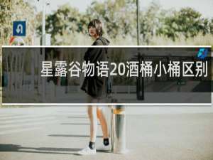 星露谷物语 酒桶小桶区别