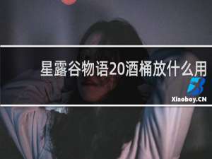 星露谷物语 酒桶放什么用