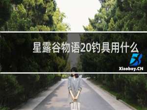 星露谷物语 钓具用什么
