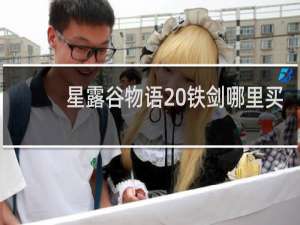 星露谷物语 铁剑哪里买