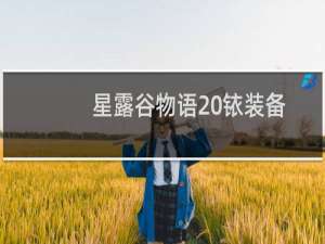 星露谷物语 铱装备