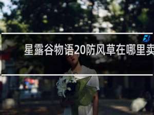 星露谷物语 防风草在哪里卖