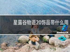 星露谷物语 饰品带什么用