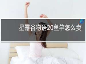 星露谷物语 鱼竿怎么卖