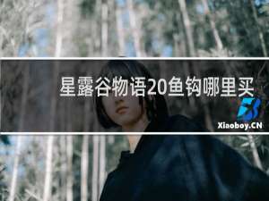 星露谷物语 鱼钩哪里买