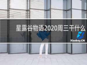 星露谷物语  周三干什么