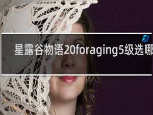 星露谷物语 foraging5级选哪个