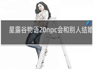 星露谷物语 npc会和别人结婚吗