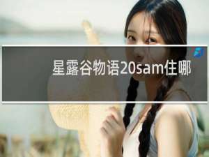 星露谷物语 sam住哪