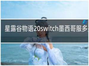 星露谷物语 switch墨西哥服多少钱