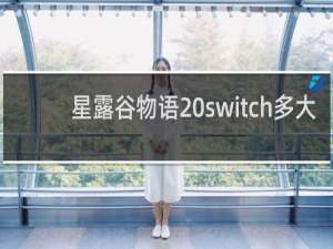 星露谷物语 switch多大