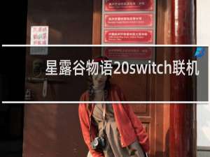 星露谷物语 switch联机