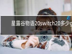 星露谷物语 switch 多少g