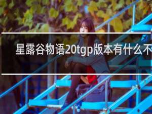 星露谷物语 tgp版本有什么不同