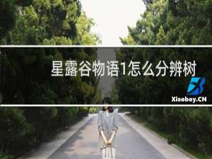 星露谷物语1怎么分辨树
