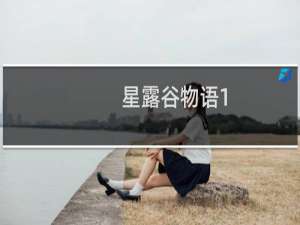 星露谷物语1.3 联机