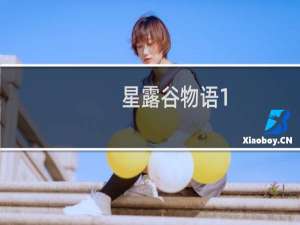 星露谷物语1.4能结婚吗