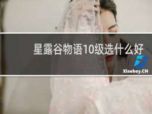星露谷物语10级选什么好