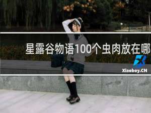 星露谷物语100个虫肉放在哪