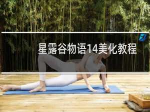 星露谷物语14美化教程