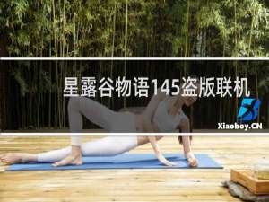 星露谷物语145盗版联机