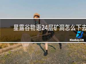 星露谷物语24层矿洞怎么下去