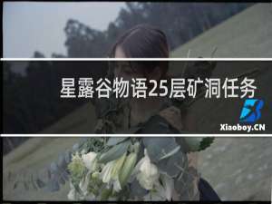 星露谷物语25层矿洞任务
