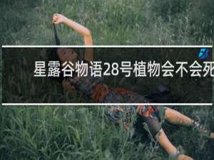 星露谷物语28号植物会不会死