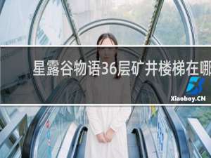 星露谷物语36层矿井楼梯在哪