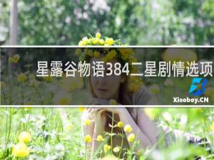 星露谷物语384二星剧情选项