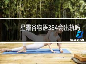 星露谷物语384会出轨吗
