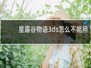 星露谷物语3ds怎么不能用