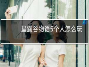 星露谷物语5个人怎么玩