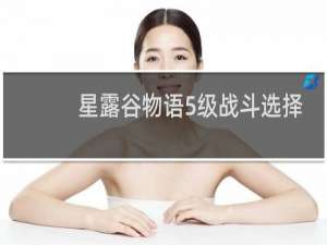 星露谷物语5级战斗选择