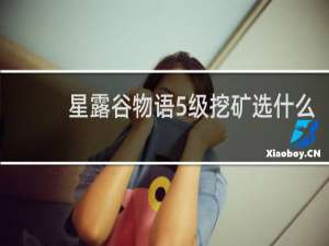 星露谷物语5级挖矿选什么