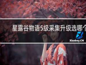 星露谷物语5级采集升级选哪个