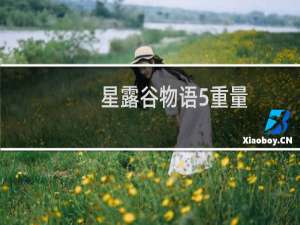 星露谷物语5重量