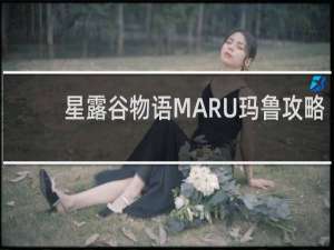 星露谷物语MARU玛鲁攻略