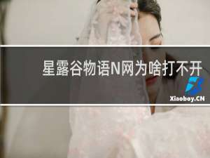 星露谷物语N网为啥打不开