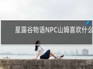 星露谷物语NPC山姆喜欢什么