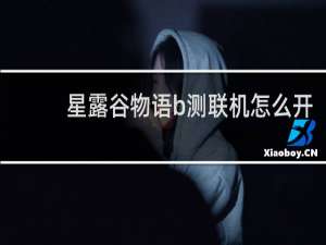 星露谷物语b测联机怎么开