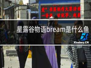 星露谷物语bream是什么鱼