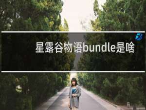 星露谷物语bundle是啥