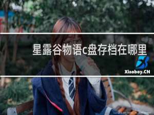 星露谷物语c盘存档在哪里