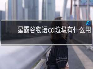 星露谷物语cd垃圾有什么用